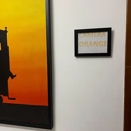 招待所 Moonlight Centro 3*