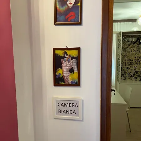 Moonlight Centro 3* בולוניה